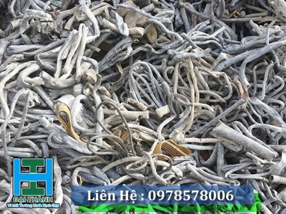 THU MUA PHẾ LIỆU CHÌ